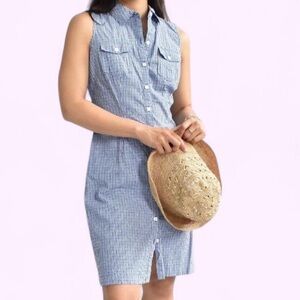 Ann Taylor Blue Gingham Sleeveless Shirtdress Size 4 Smart Casual